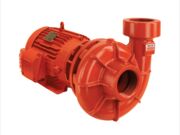 Motobomba 5cv bpi-21 R 2 1/2 trifasica motor ip55