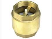 Valvula de retenção vertical